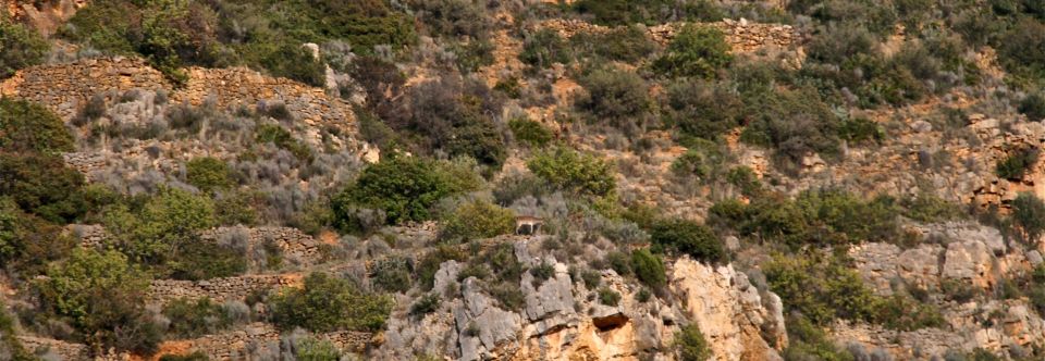 Castillo de Fanzara Información útil y fotos
