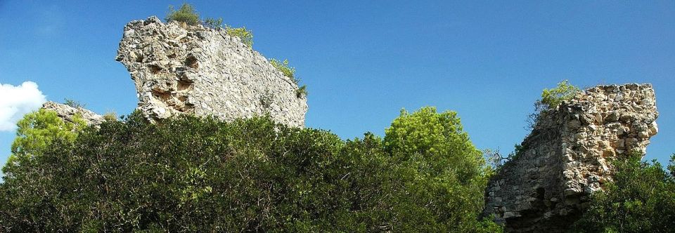 Resultado de imagen de castillo de montoliu la riera de gaia