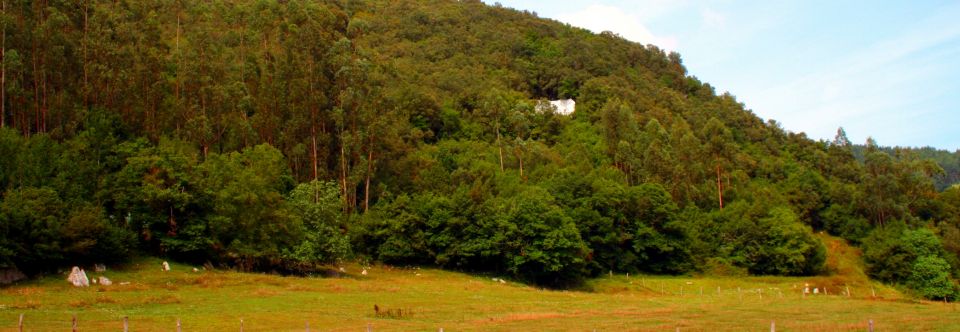 Dónde comer en Complejo kárstico del monte de La Garma