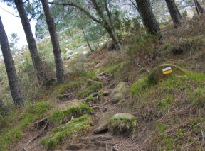 Sendero al Galiñeiro