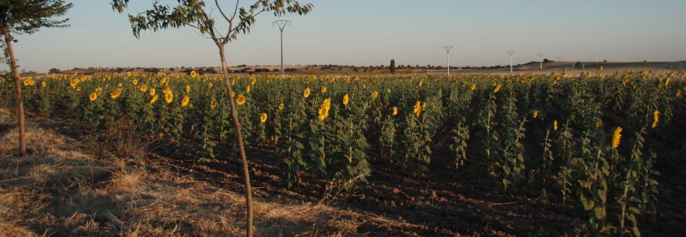 Foto de El Chorraero en Viveros, Albacete
