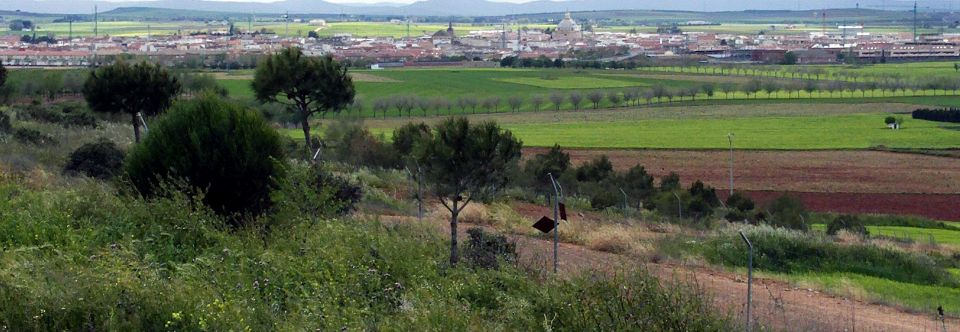 Miguelturra (Ciudad Real) Qué ver y dónde dormir