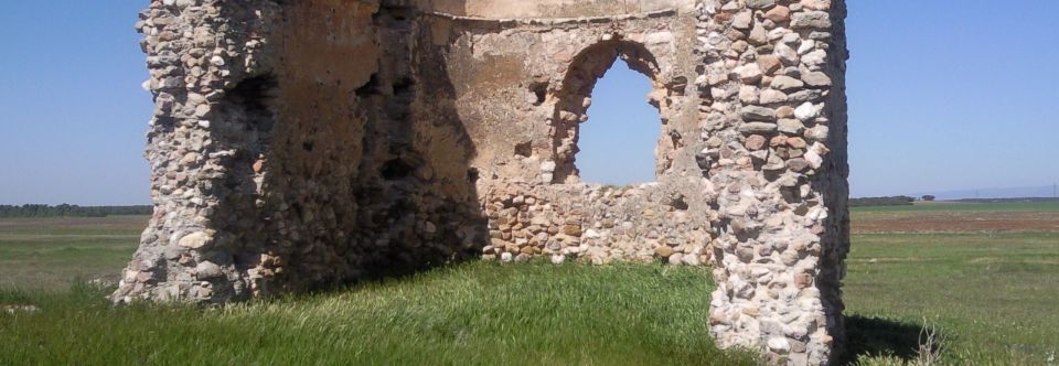 Foto de Manantial de Valechoso en Navalpino, Ciudad Real