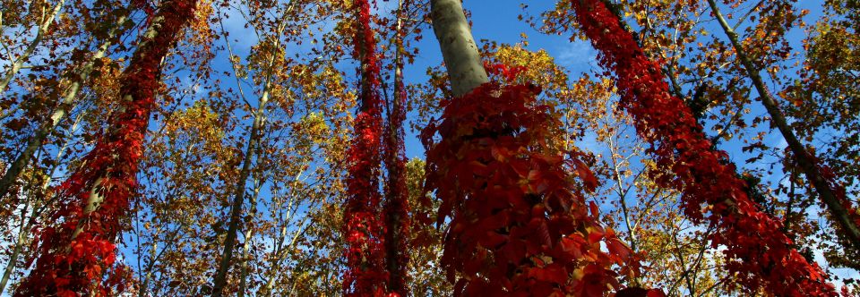 Gualba (Barcelona) Qué ver y dónde dormir