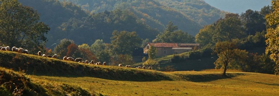 Falgars d'en Bas (Girona) Qué ver y dónde dormir