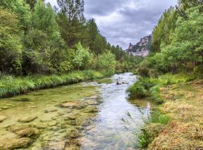 Parque natural del Alto Tajo