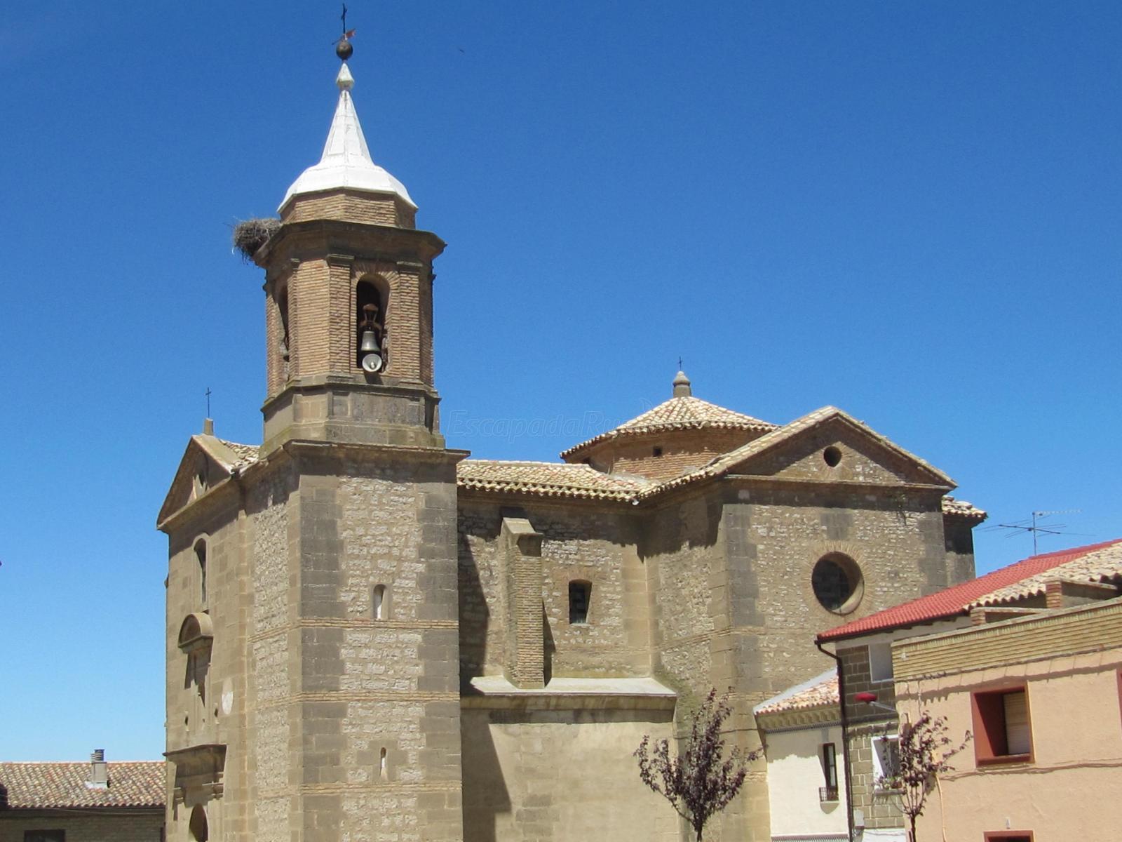 Foto de Roble de Jaime en Sierra de Luna, Zaragoza