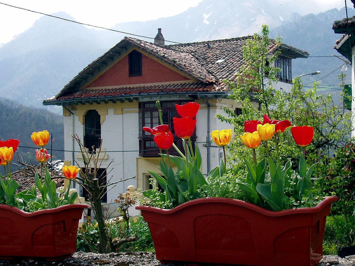 Ponga (Asturias) Qué ver y dónde dormir