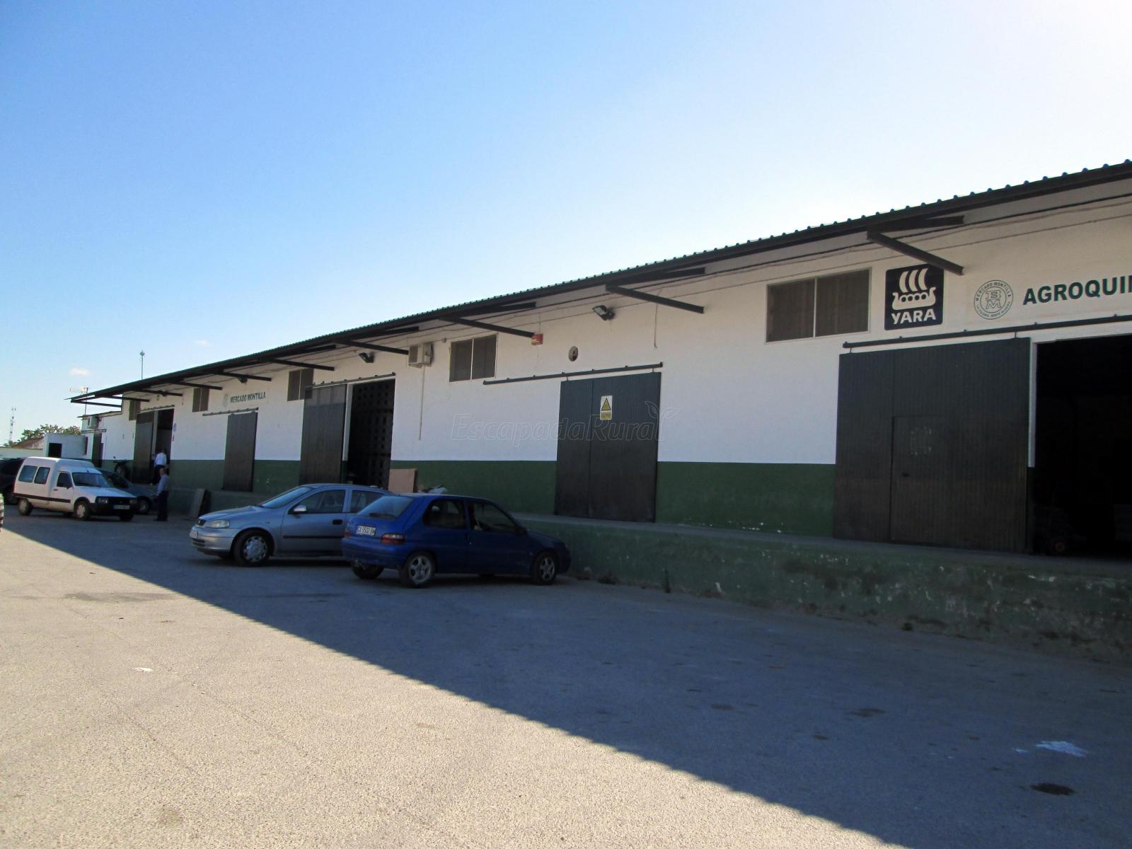 La Algaida (Cádiz) Qué ver y dónde dormir