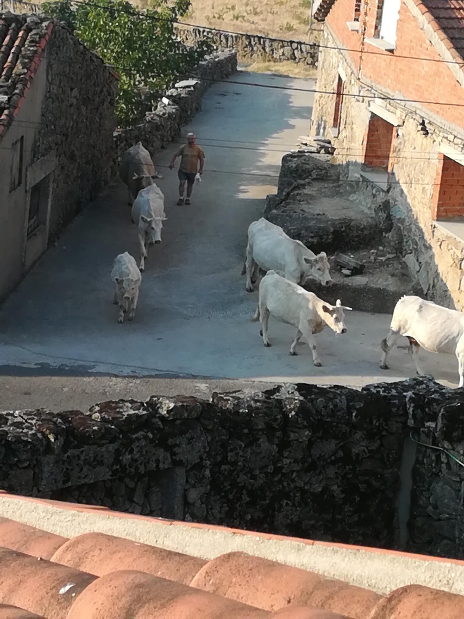Qué ver en Aldeacipreste