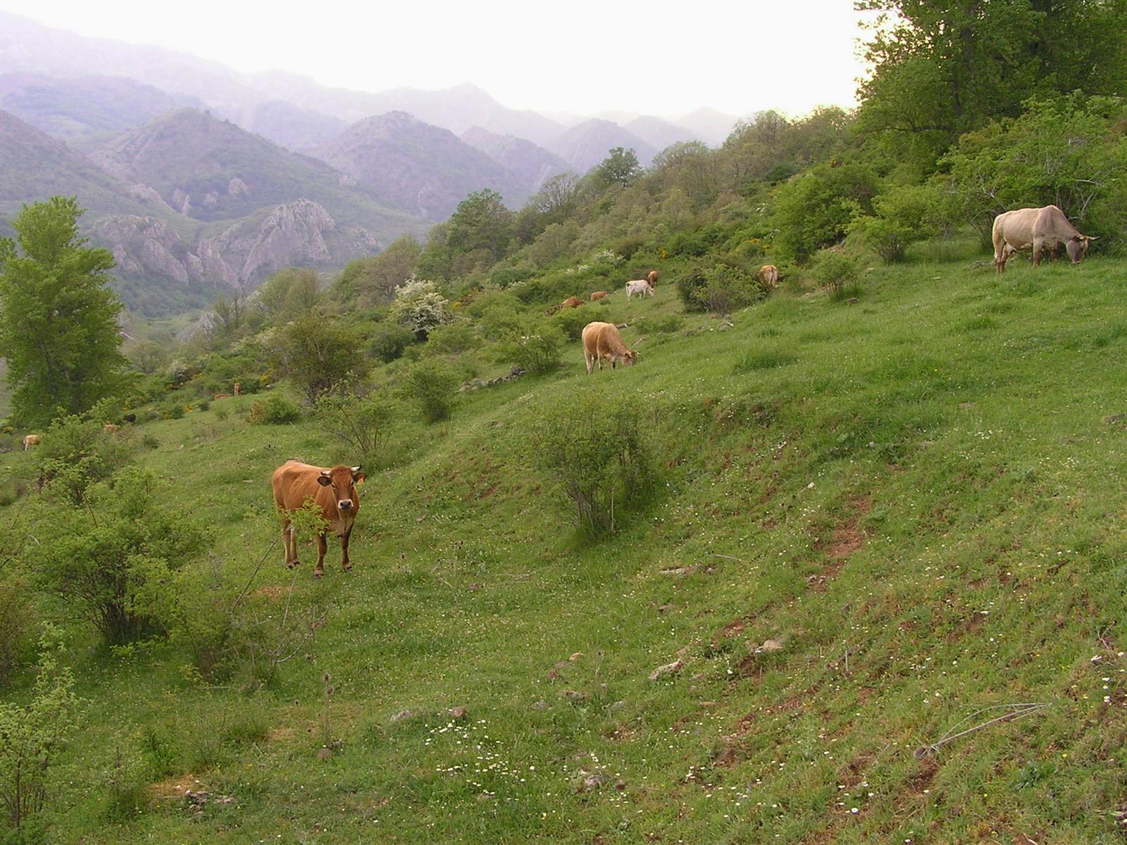 Vega de Gordón (León) Qué ver y dónde dormir