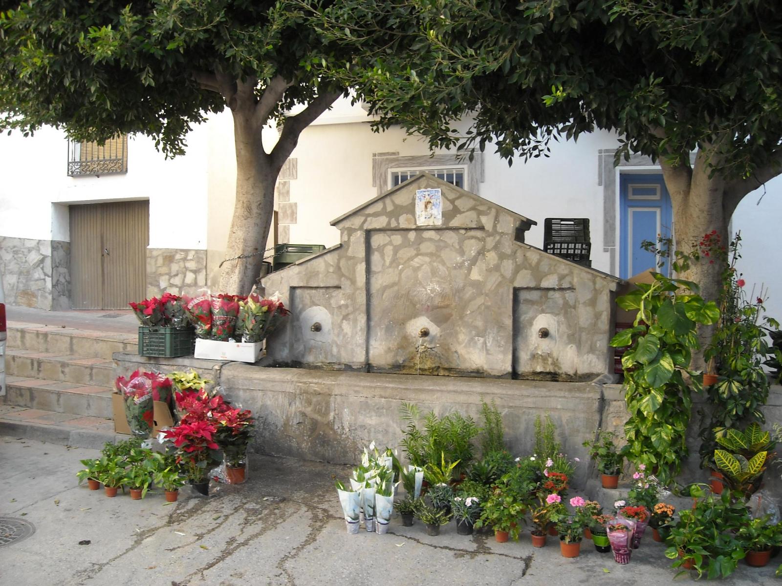 Foto de Parque de la era en Itrabo, Granada