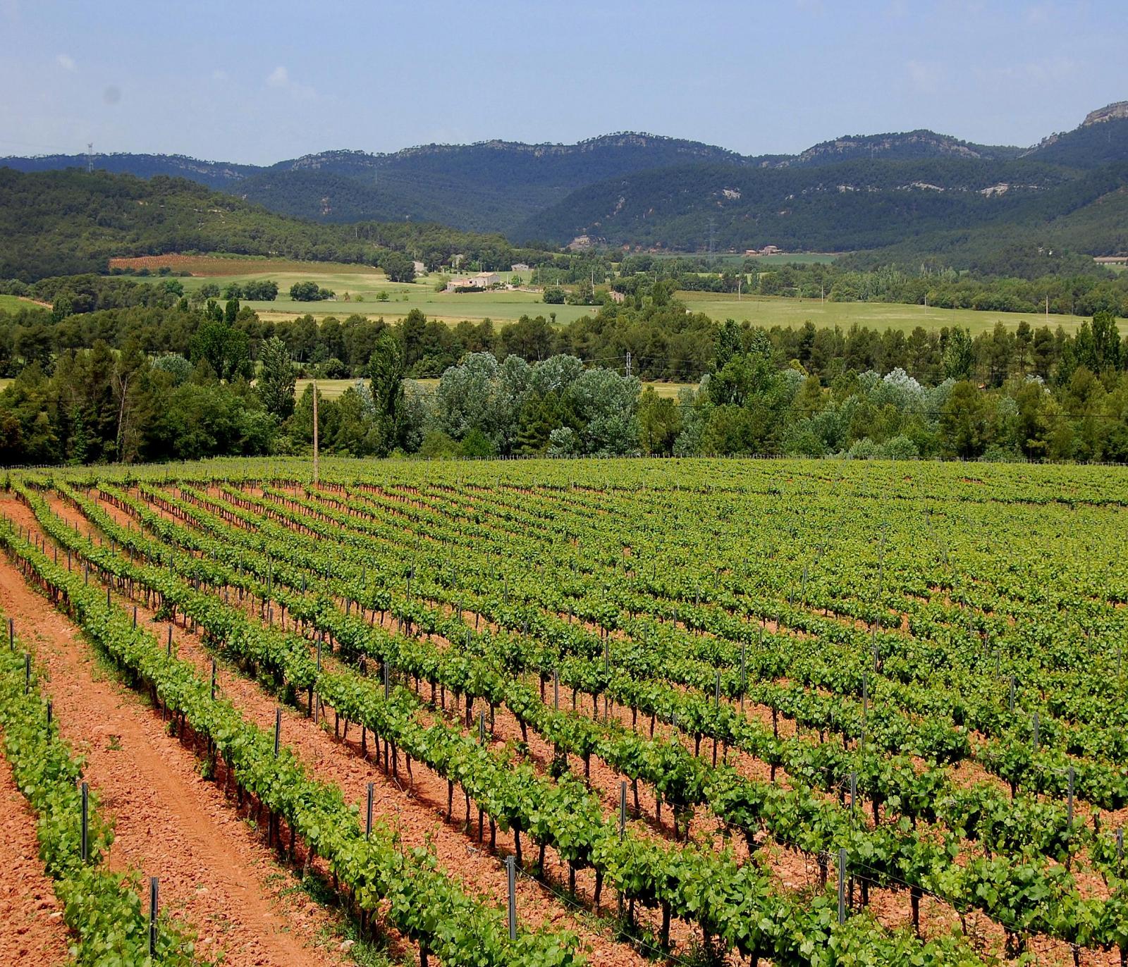 Santa Maria de Miralles (Barcelona) Qué ver y dónde dormir