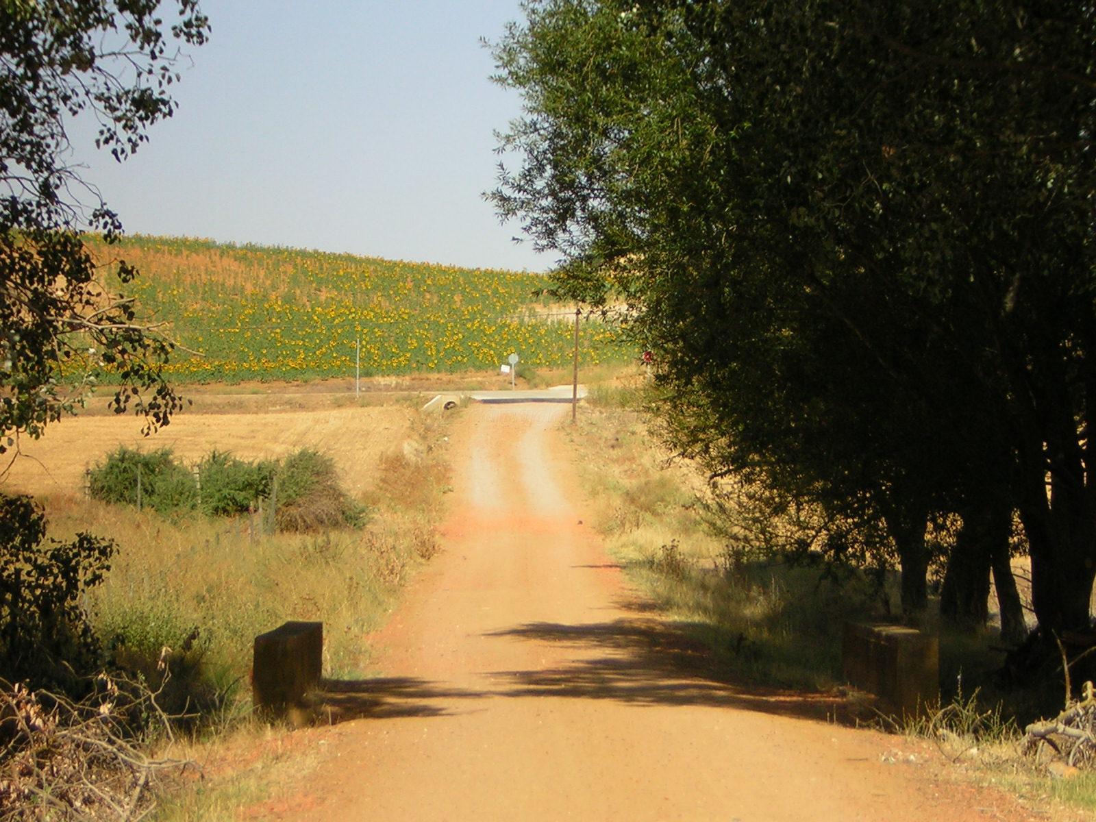 Qué ver en El Piñero