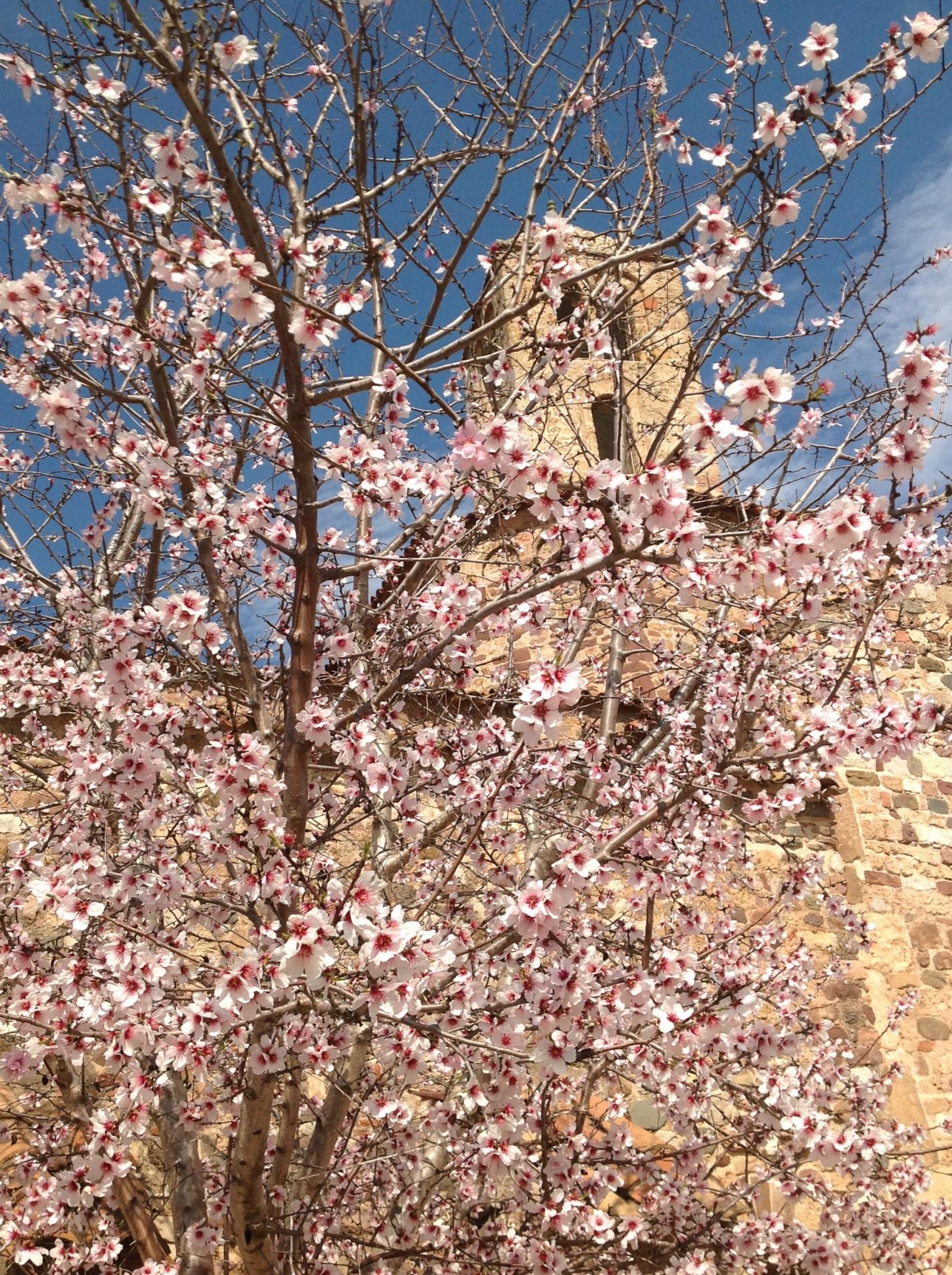 Terrassa (Barcelona) Qué ver y dónde dormir