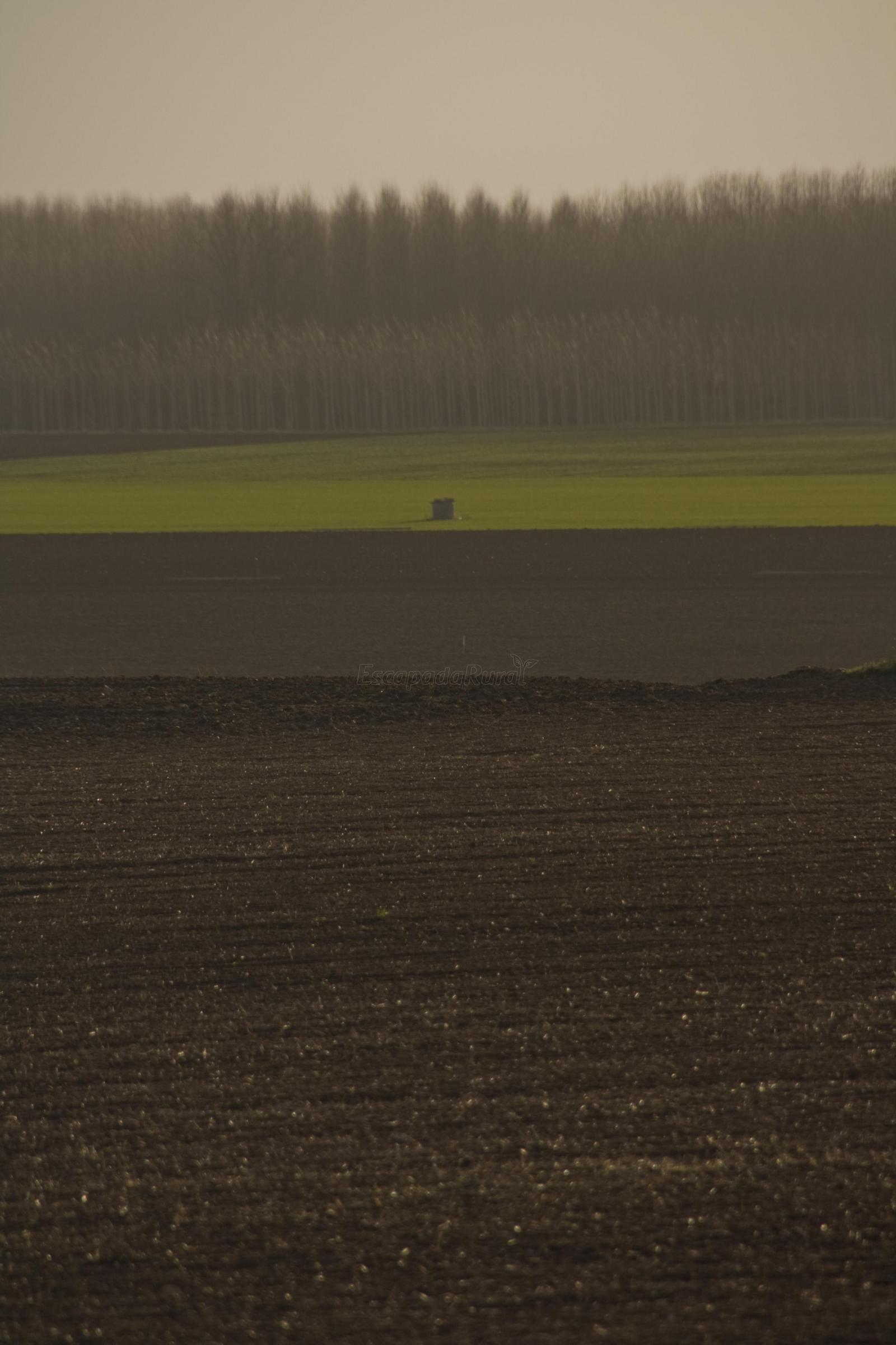 Qué ver en Palazuelos de Muñó