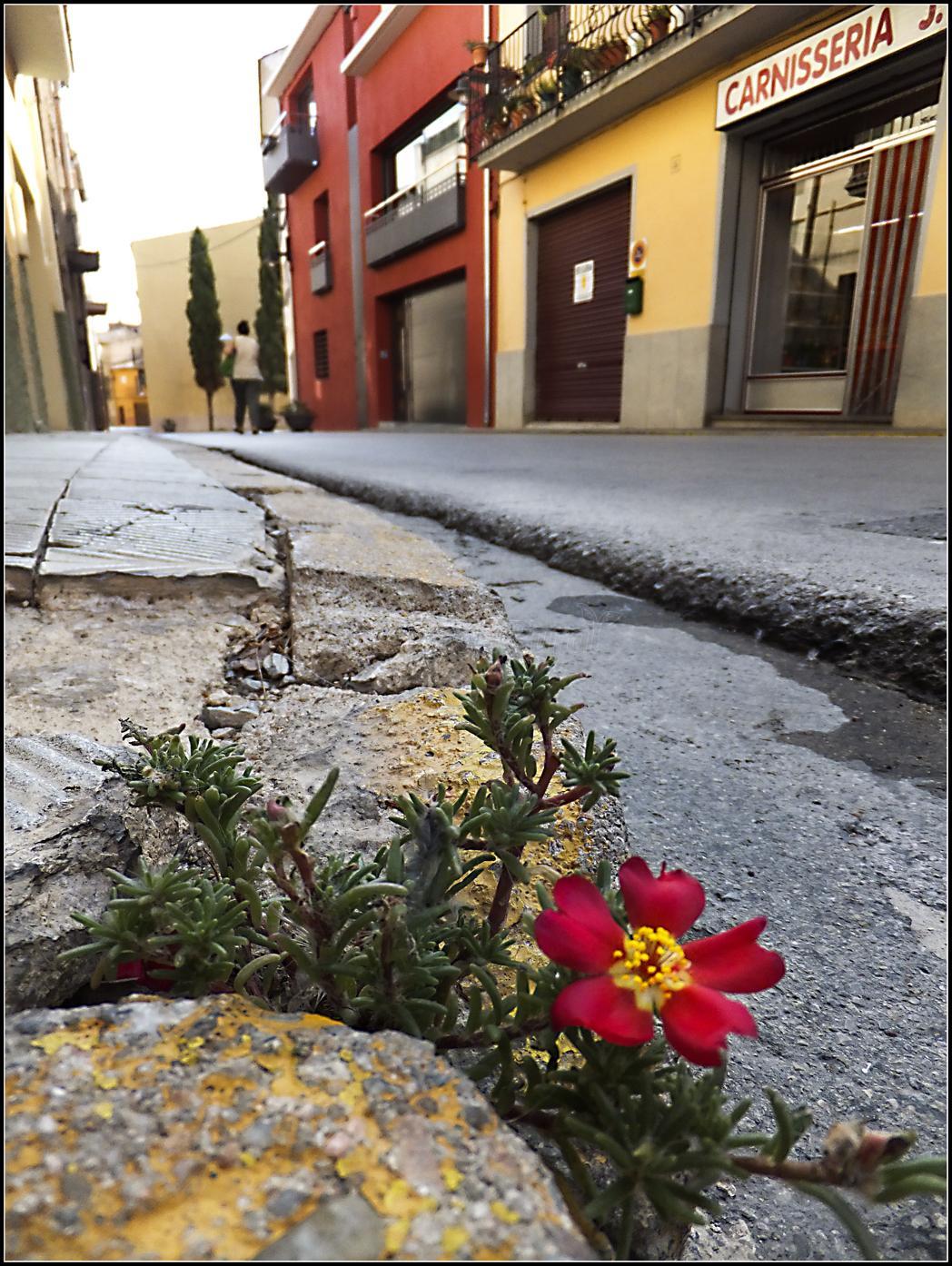 Vilafant (Girona) Qué ver y dónde dormir