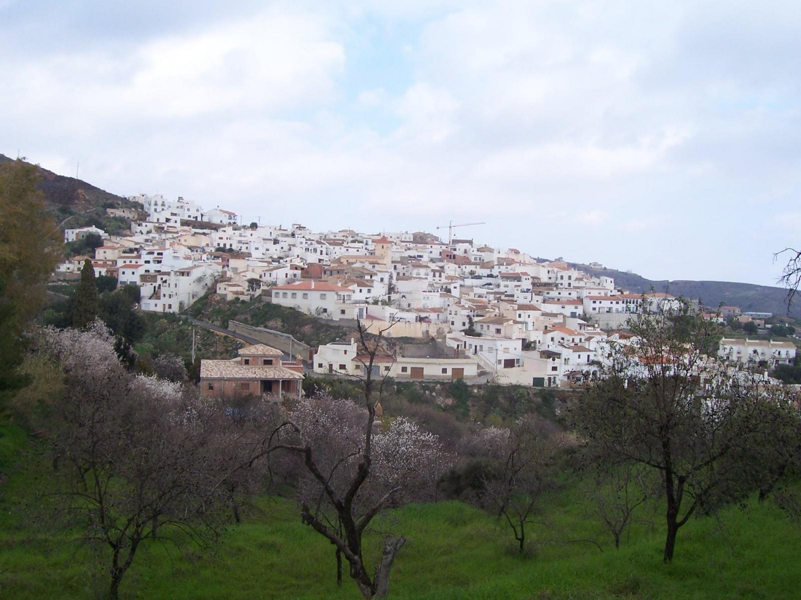 Foto de Balsa Alta en Bédar, Almería