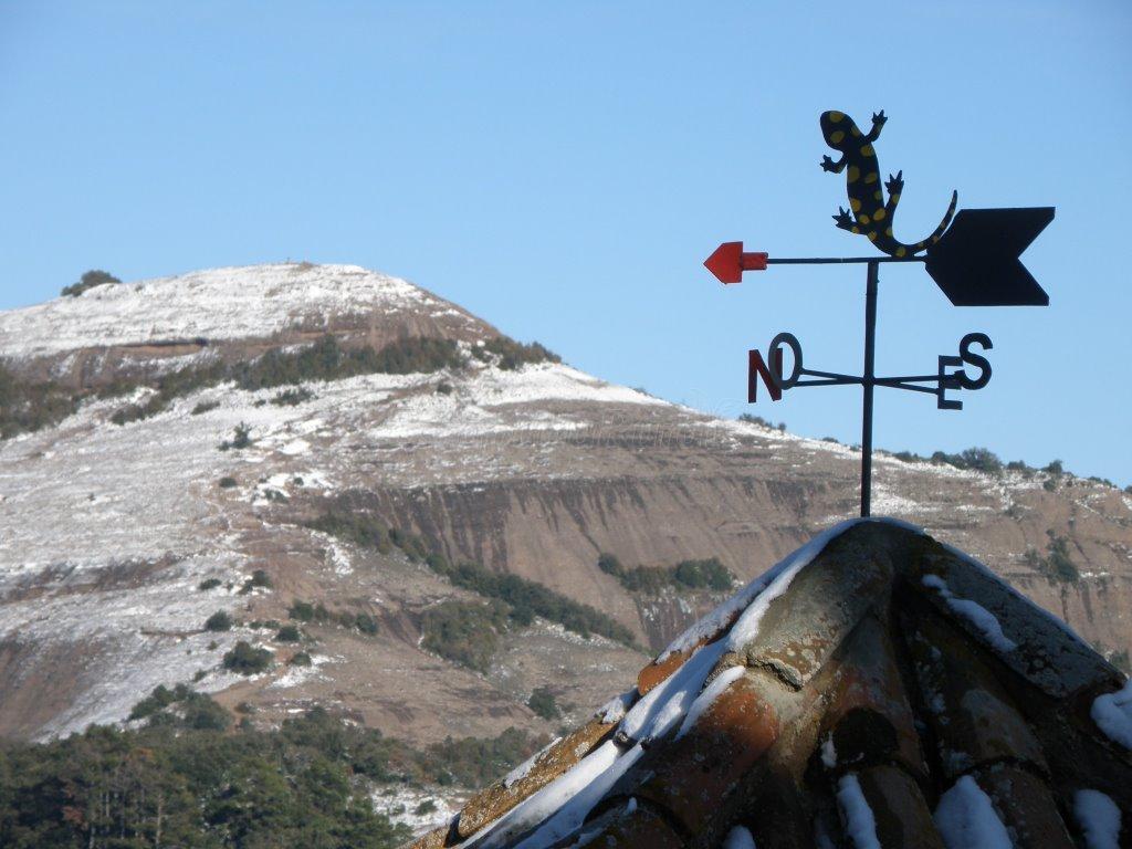 Dónde comer en La Barata