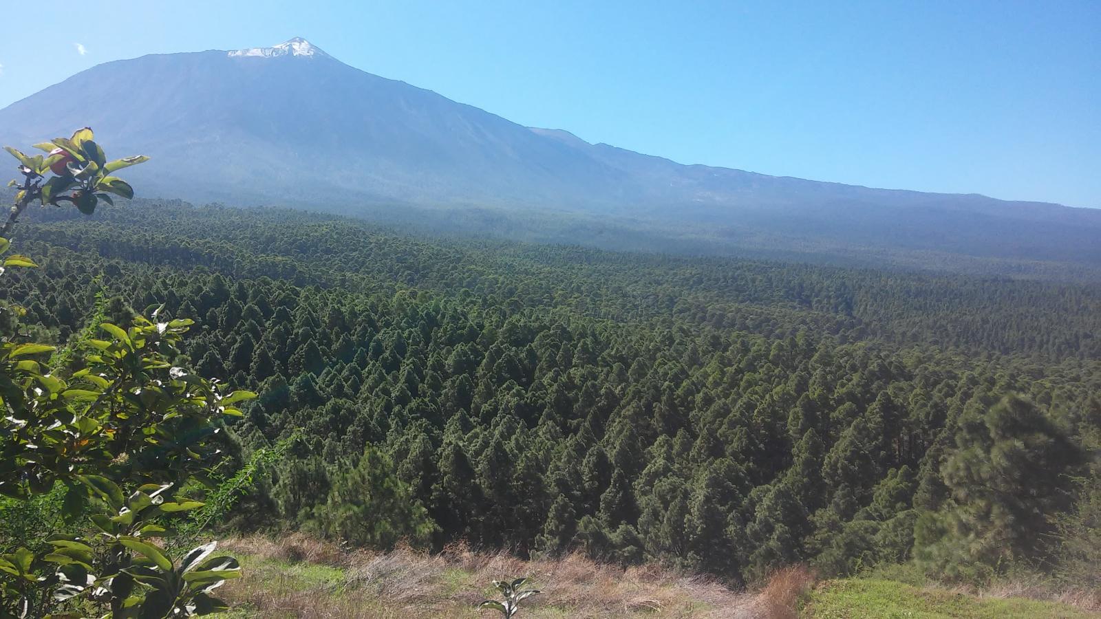 Foto de Montaña del Cerro Gordo de la Guancha en La Guancha, Santa Cruz de Tenerife