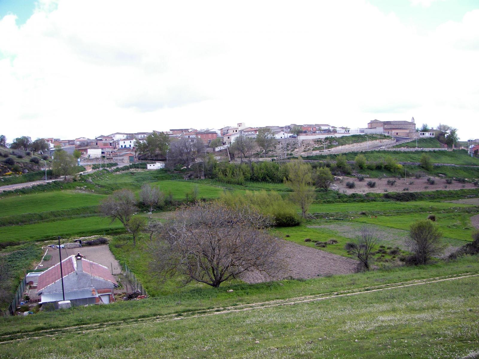 Foto de Arroyo De La Zarza en Santa Cruz de los Cáñamos, Ciudad Real