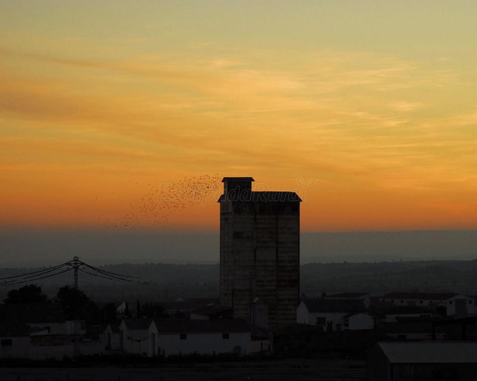 Farlete (Zaragoza) Qué ver y dónde dormir