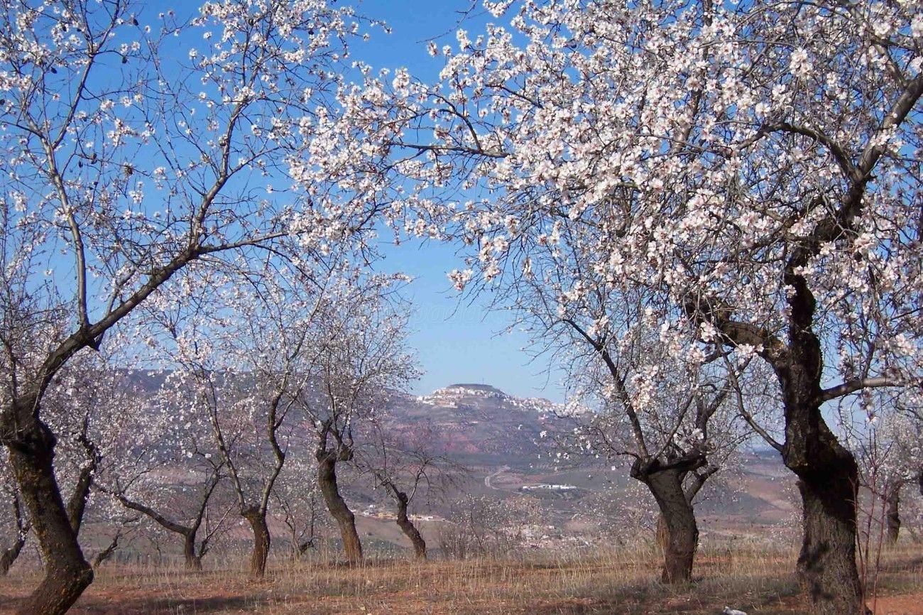 Chiclana de Segura (Jaén) Qué ver y dónde dormir