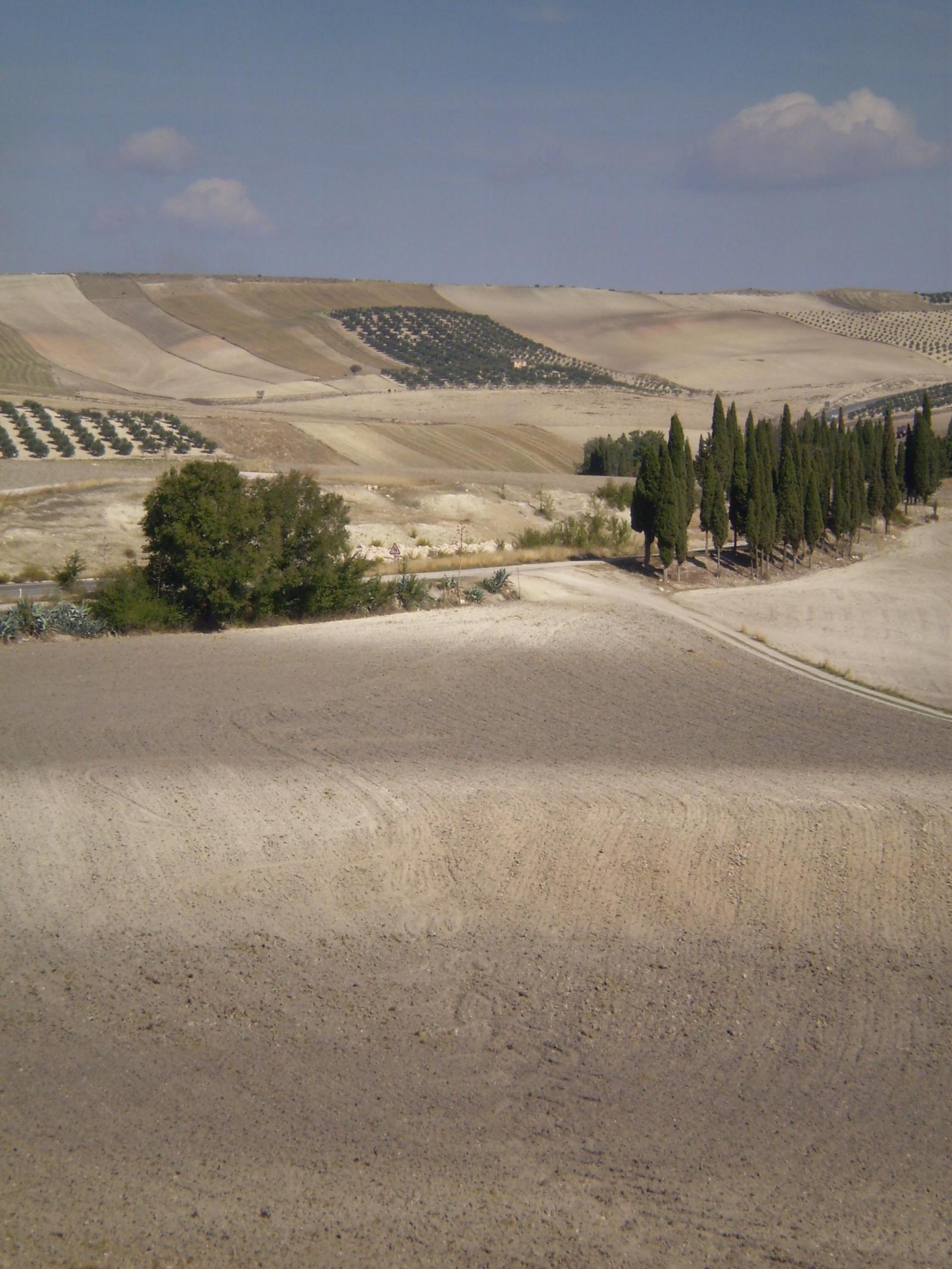 Foto de Río Guadahortuna en Guadahortuna, Granada