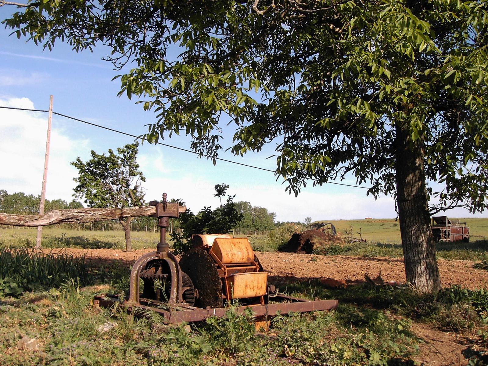 Santa Elena de Jamuz (León) Qué ver y dónde dormir
