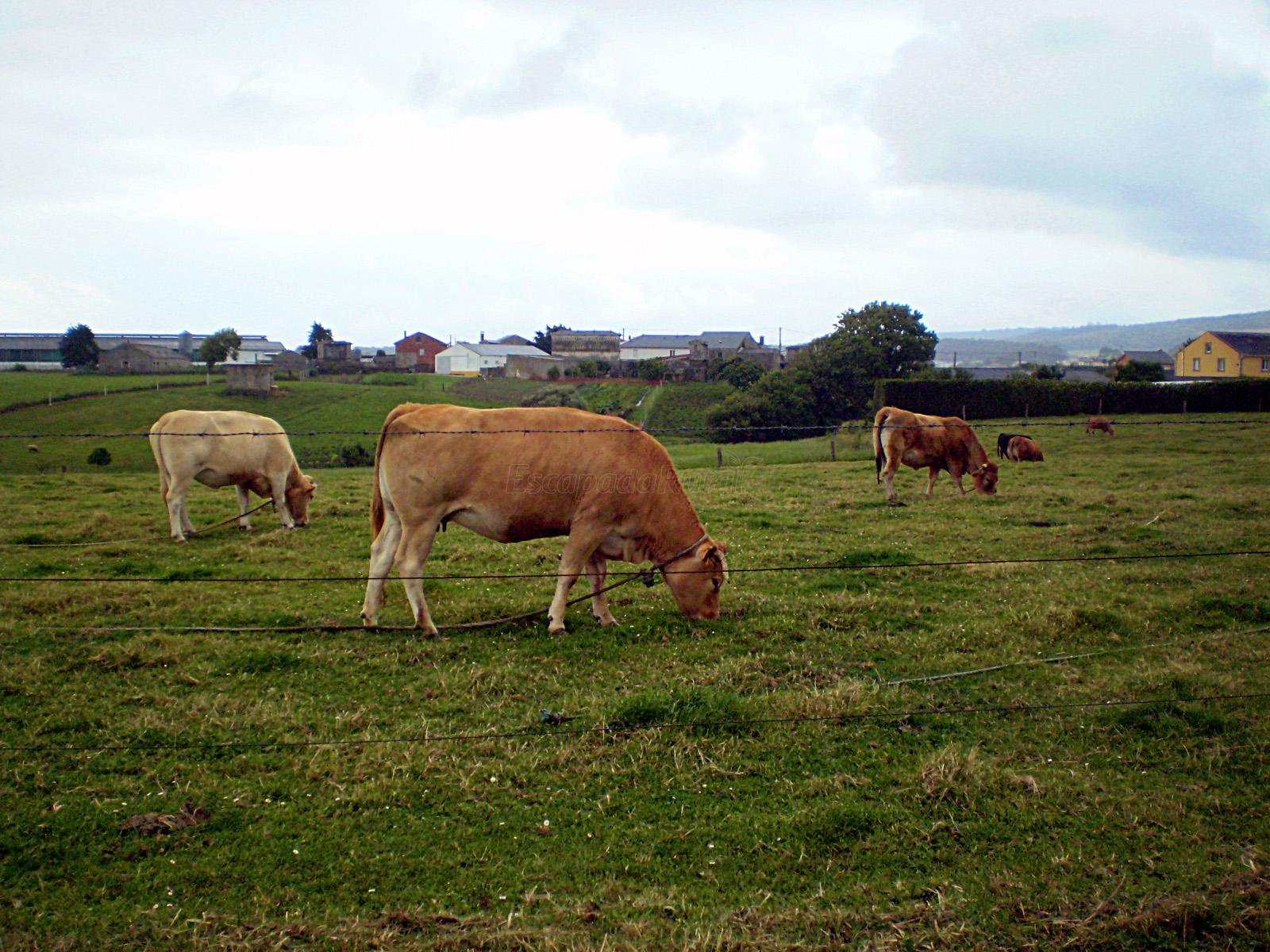 A Devesa (Lugo) Qué ver y dónde dormir