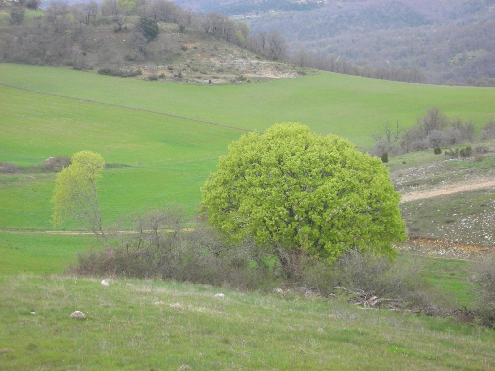 Ibisate (Álava) Qué ver y dónde dormir
