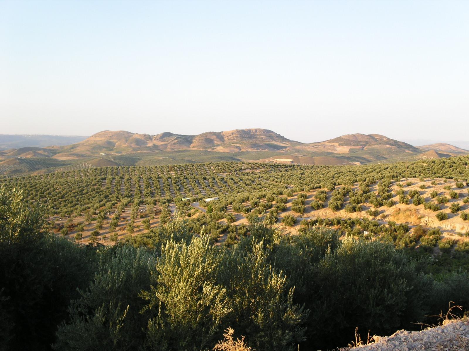 Jimena (Jaén) Qué ver y dónde dormir