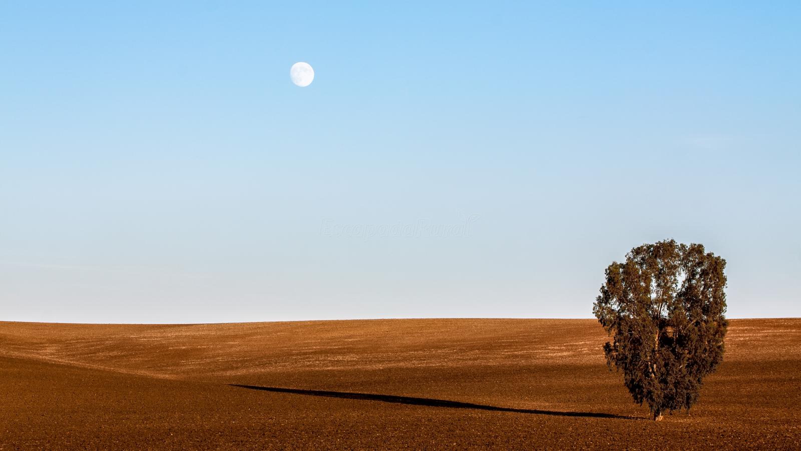 Lora del Río (Sevilla) Qué ver y dónde dormir