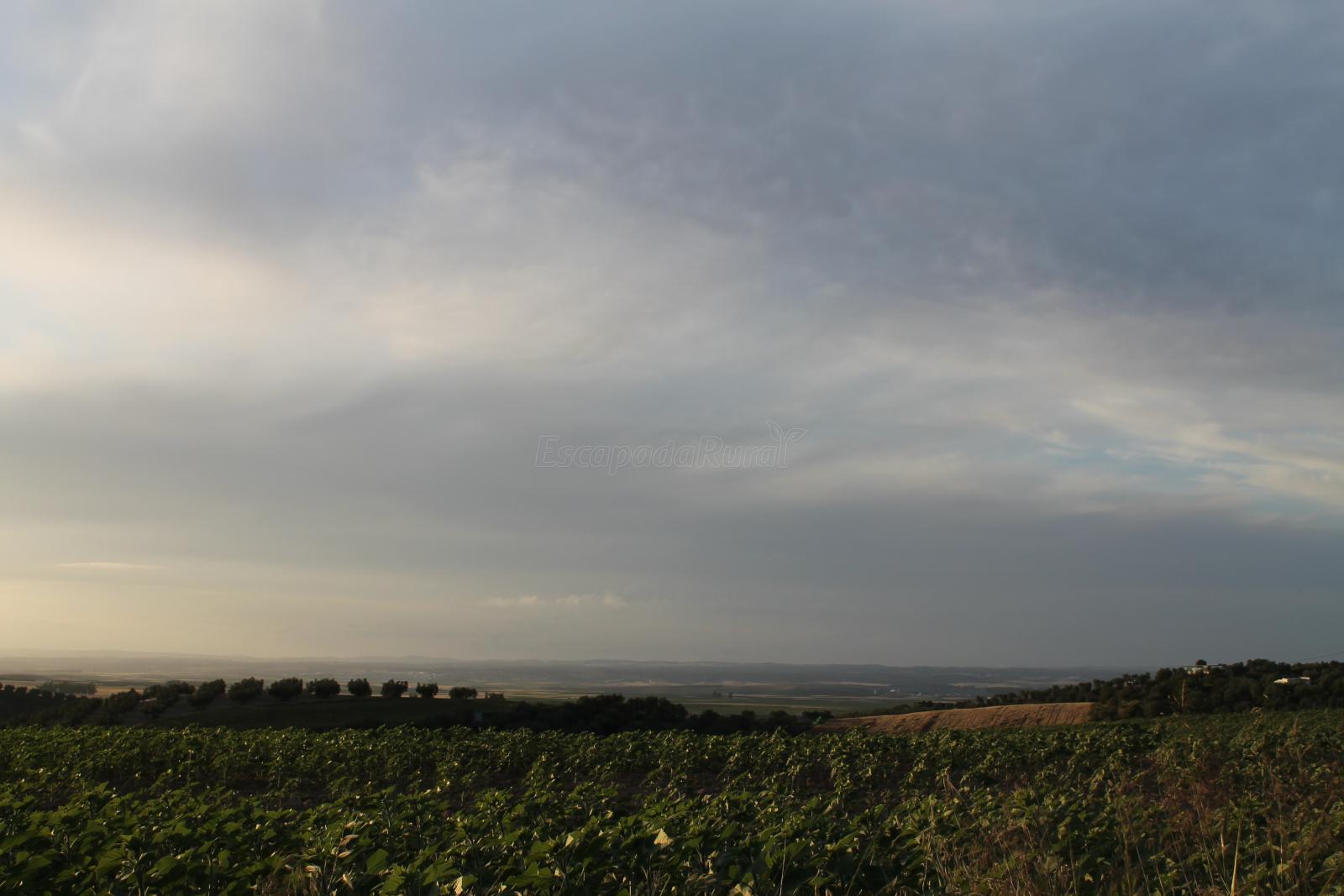 Dónde comer en Valencina de la Concepción