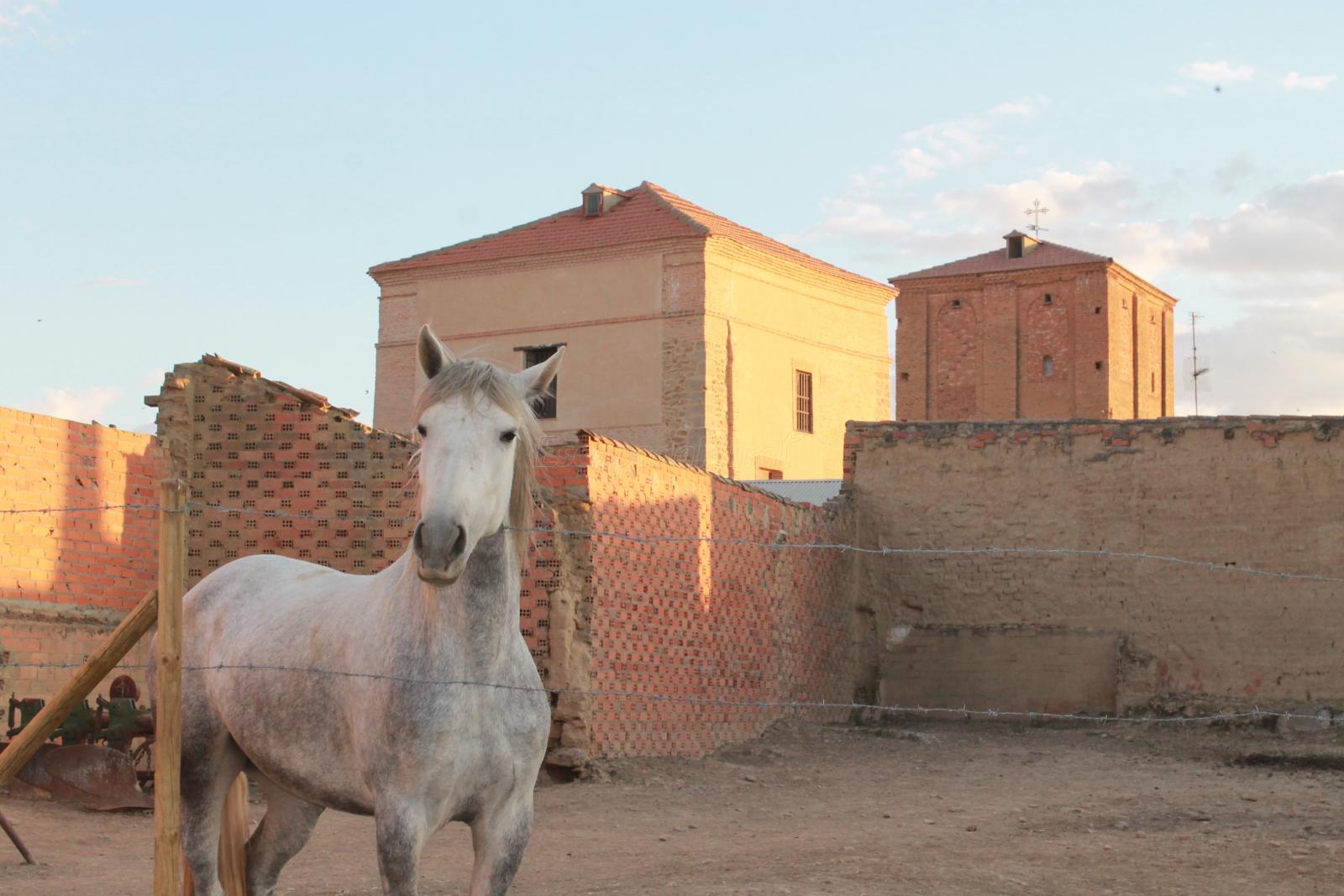 Fuentes de Ropel (Zamora) O que visitar e onde dormir