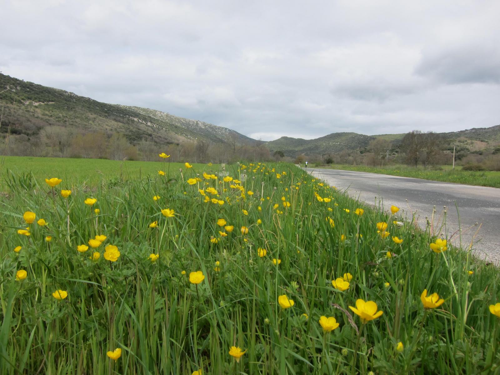 Hoz de Arreba (Burgos) Qué ver y dónde dormir