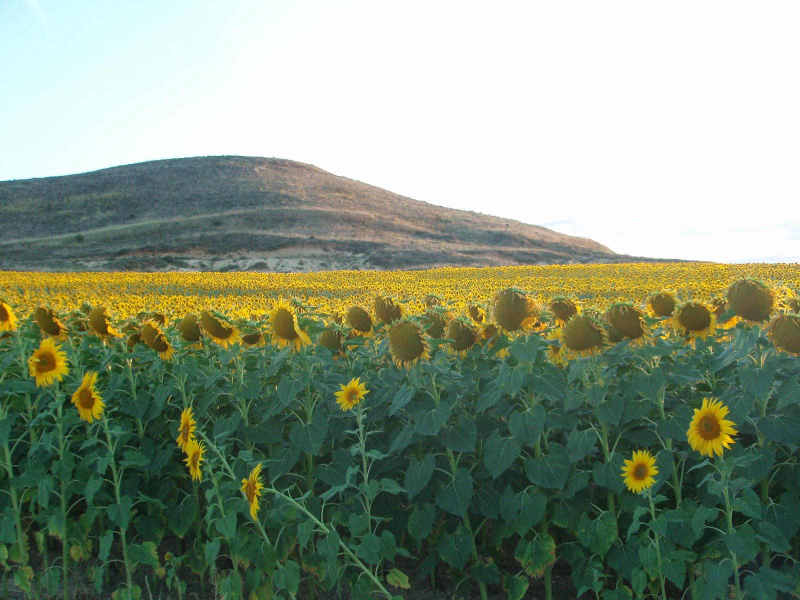 Taroda (Soria) Qué ver y dónde dormir