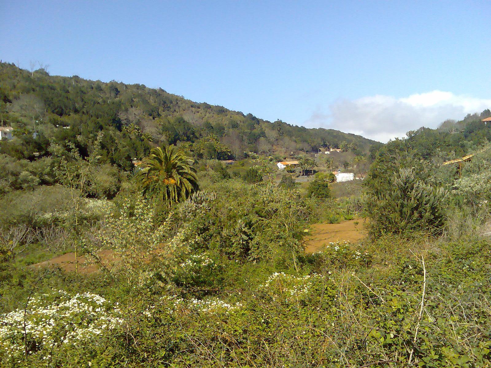Foto de Los Aceviños en Hermigua, Santa Cruz de Tenerife