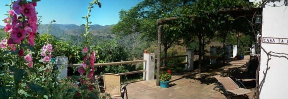 La Rosilla Información útil y fotos