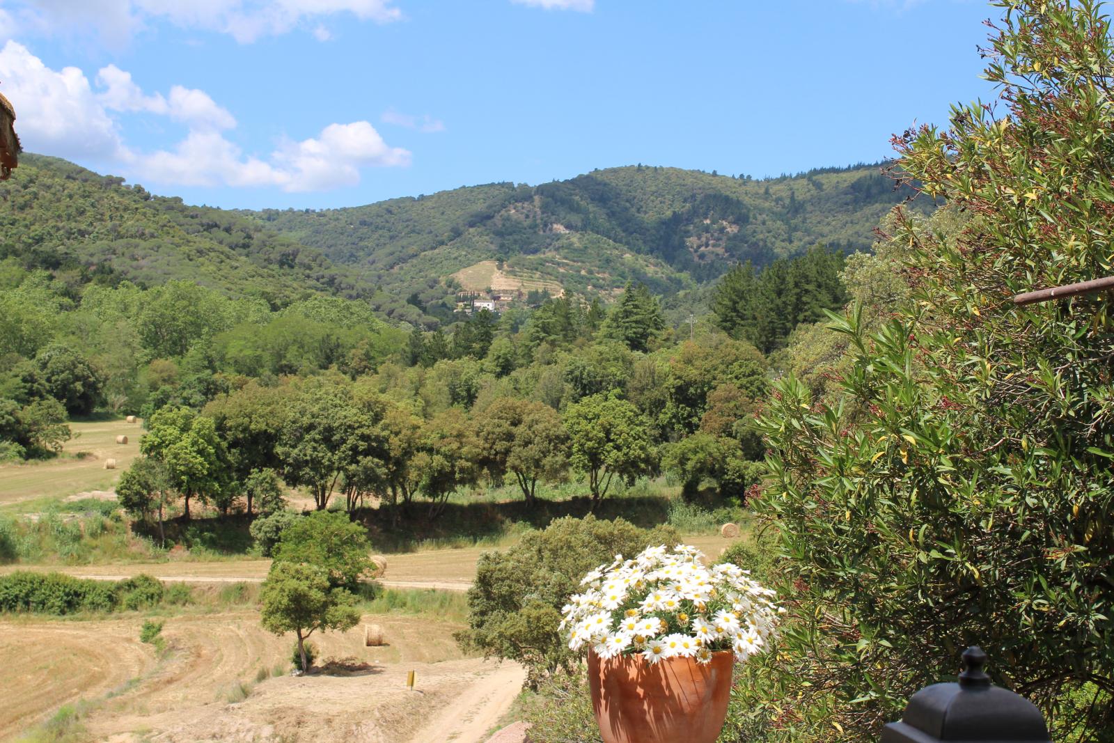 Opiniones sobre Masia Can Colomer (Barcelona)