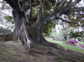 Jardim António Borges