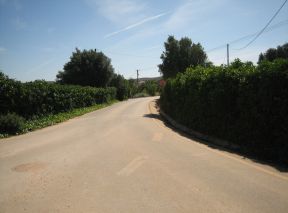 Barão de São Miguel