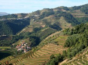 Santa Marta de Penaguião