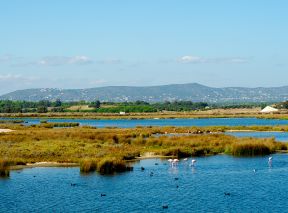 Ria Formosa